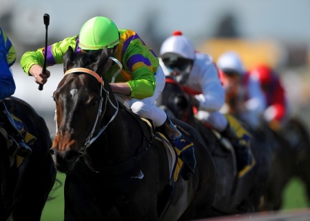 Vietbet Horse Racing News   California Chrome wins the Kentucky Derby.  Preakness next!